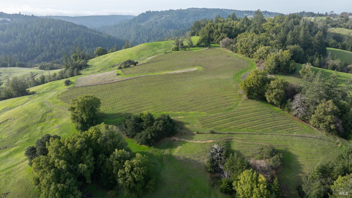 Detail Gallery Image 38 of 89 For 38555 Hauser Bridge Rd, Cazadero,  CA 95421 - 5 Beds | 2 Baths