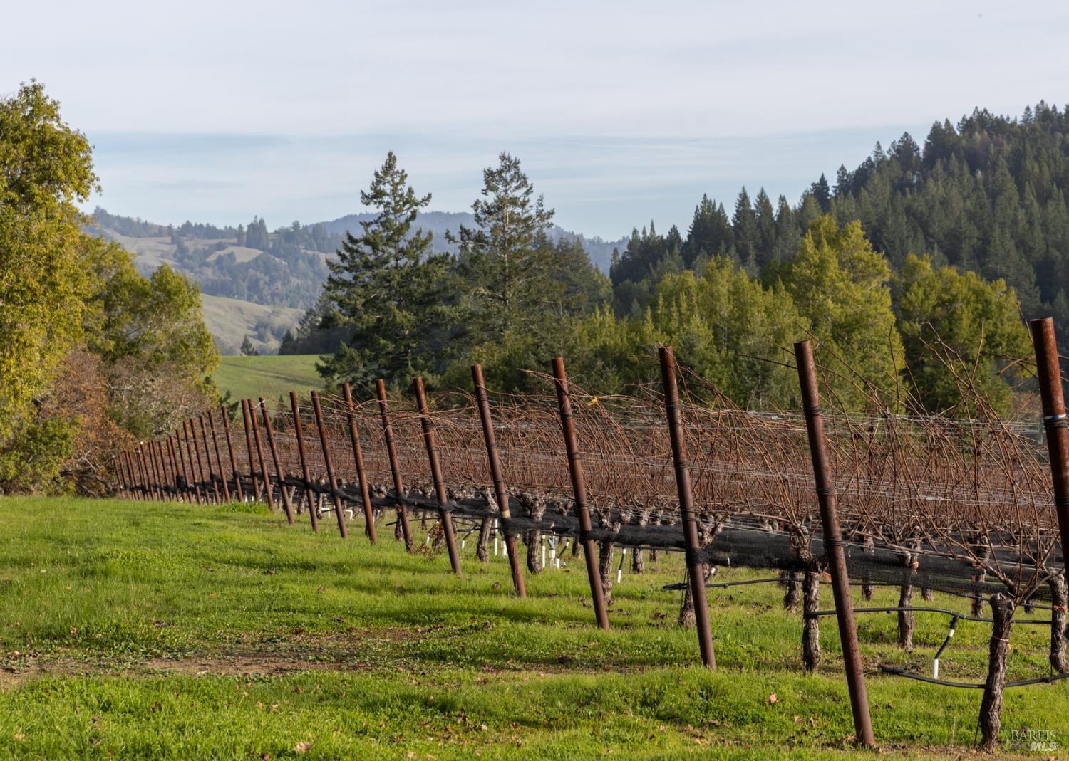 Detail Gallery Image 5 of 89 For 38555 Hauser Bridge Rd, Cazadero,  CA 95421 - 5 Beds | 2 Baths
