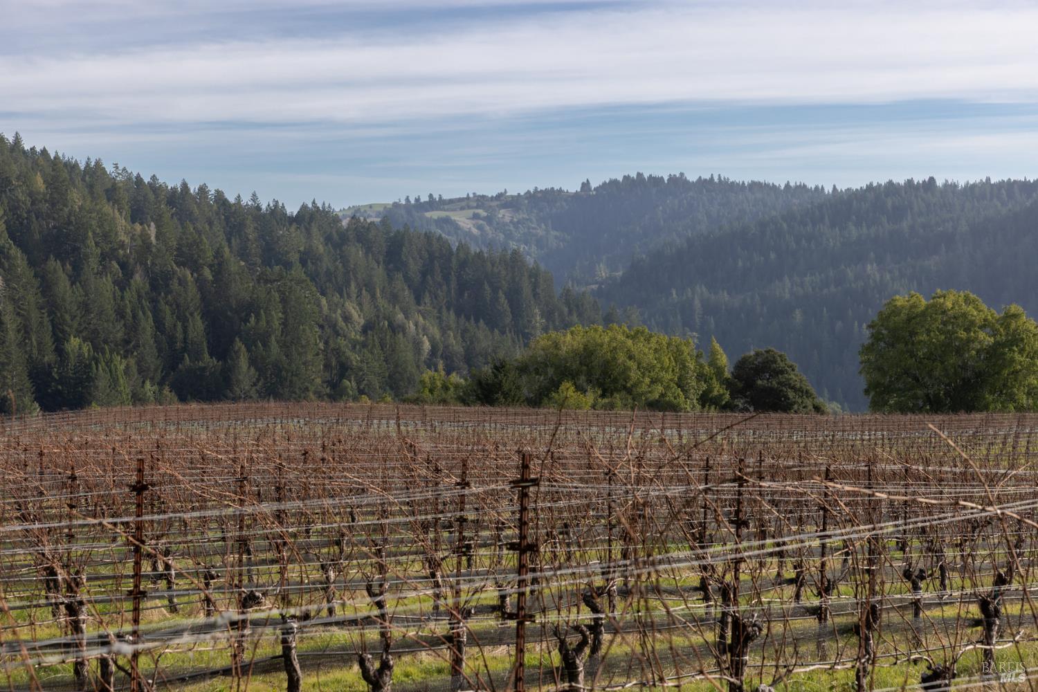 Detail Gallery Image 7 of 89 For 38555 Hauser Bridge Rd, Cazadero,  CA 95421 - 5 Beds | 2 Baths