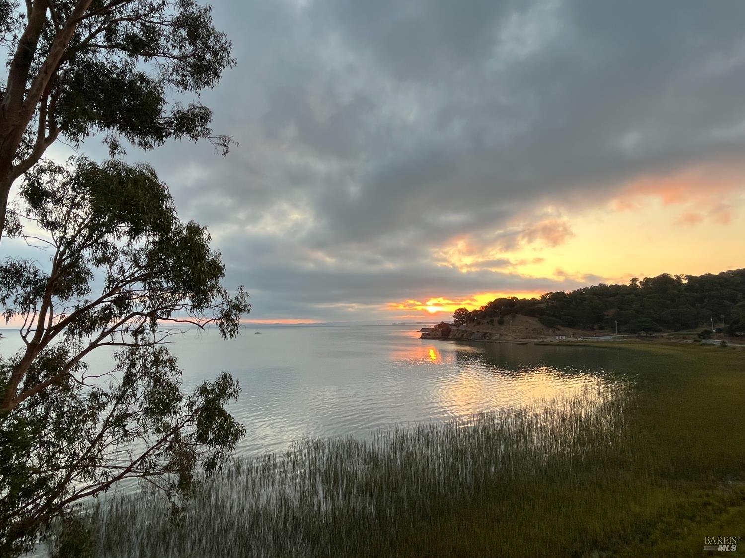 Detail Gallery Image 16 of 16 For 101 Vendola Dr, San Rafael,  CA 94903 - 3 Beds | 2 Baths