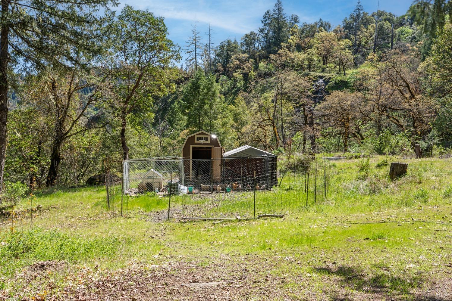 Detail Gallery Image 19 of 22 For 9355 Spyrock Rd, Laytonville,  CA 95454 - 3 Beds | 1/1 Baths