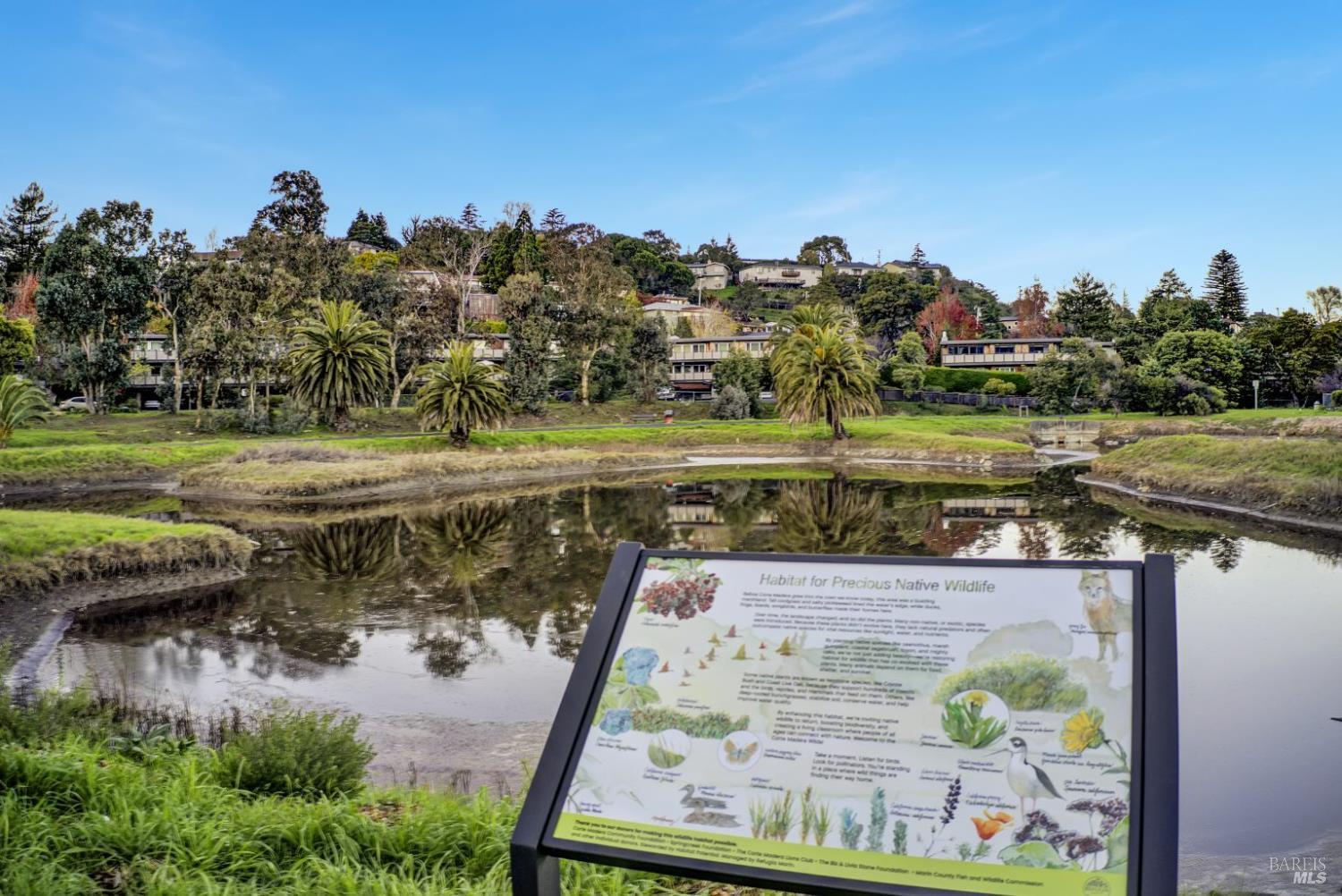 Detail Gallery Image 23 of 25 For 61 Pixley Ave #3,  Corte Madera,  CA 94925 - 2 Beds | 1 Baths