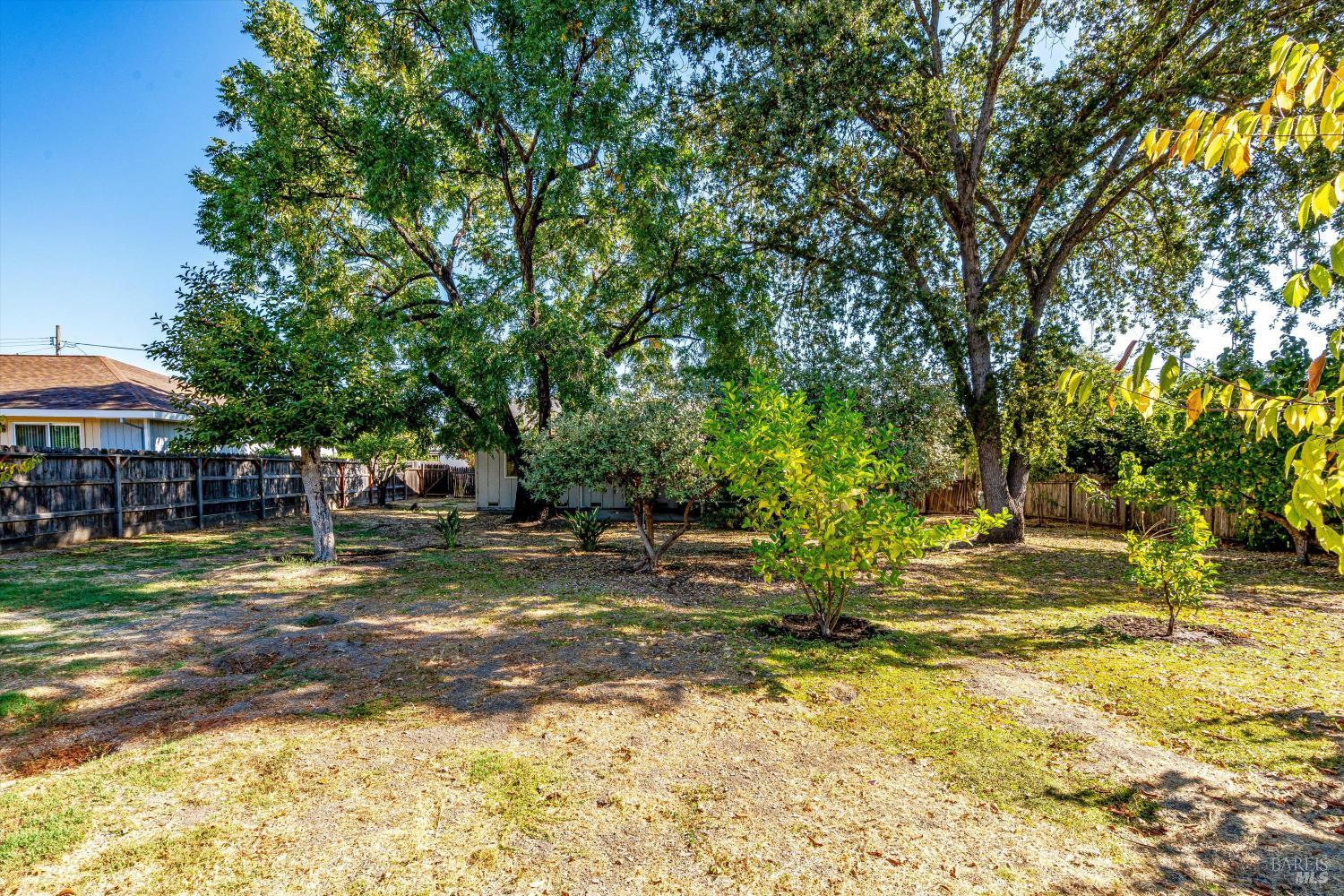 Detail Gallery Image 46 of 81 For 1251 Garden Ave, Saint Helena,  CA 94574 - 3 Beds | 2 Baths