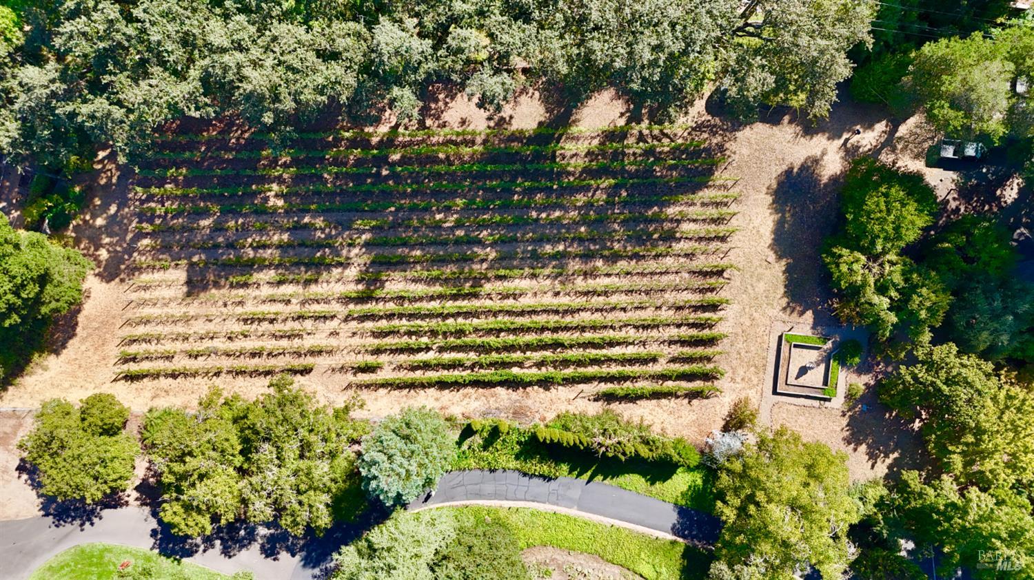 Detail Gallery Image 66 of 72 For 109 Glass Mountain Ln, Saint Helena,  CA 94574 - 3 Beds | 2/1 Baths