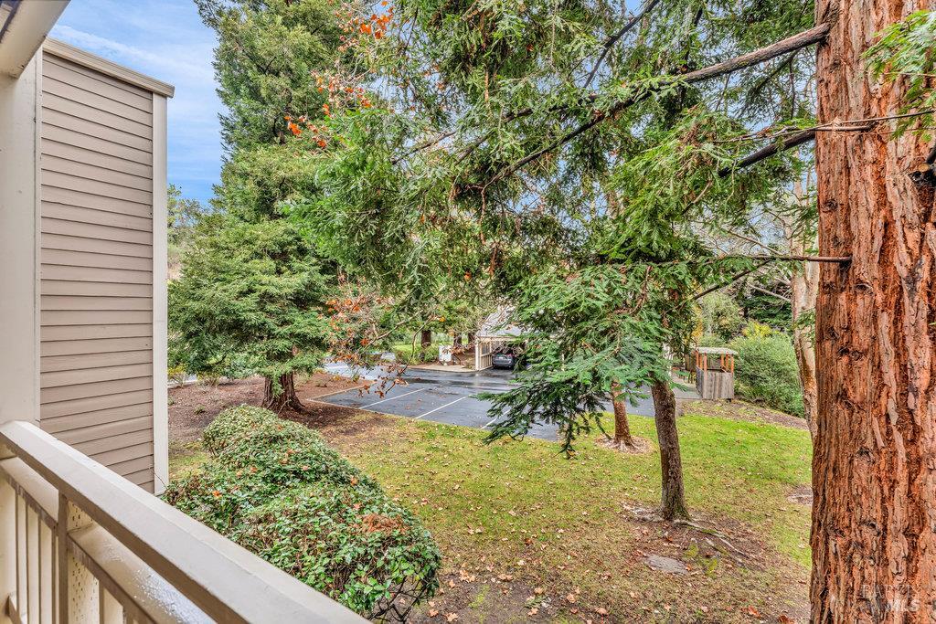 Detail Gallery Image 30 of 58 For 135 Koch Rd, Corte Madera,  CA 94925 - 2 Beds | 2 Baths