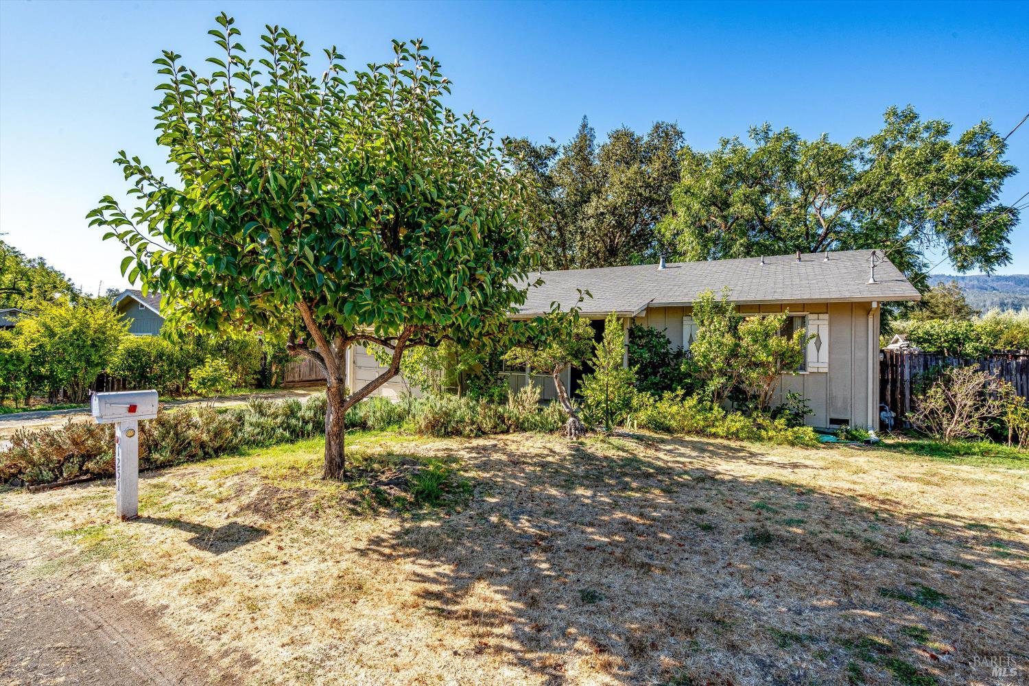 Detail Gallery Image 37 of 81 For 1251 Garden Ave, Saint Helena,  CA 94574 - 3 Beds | 2 Baths