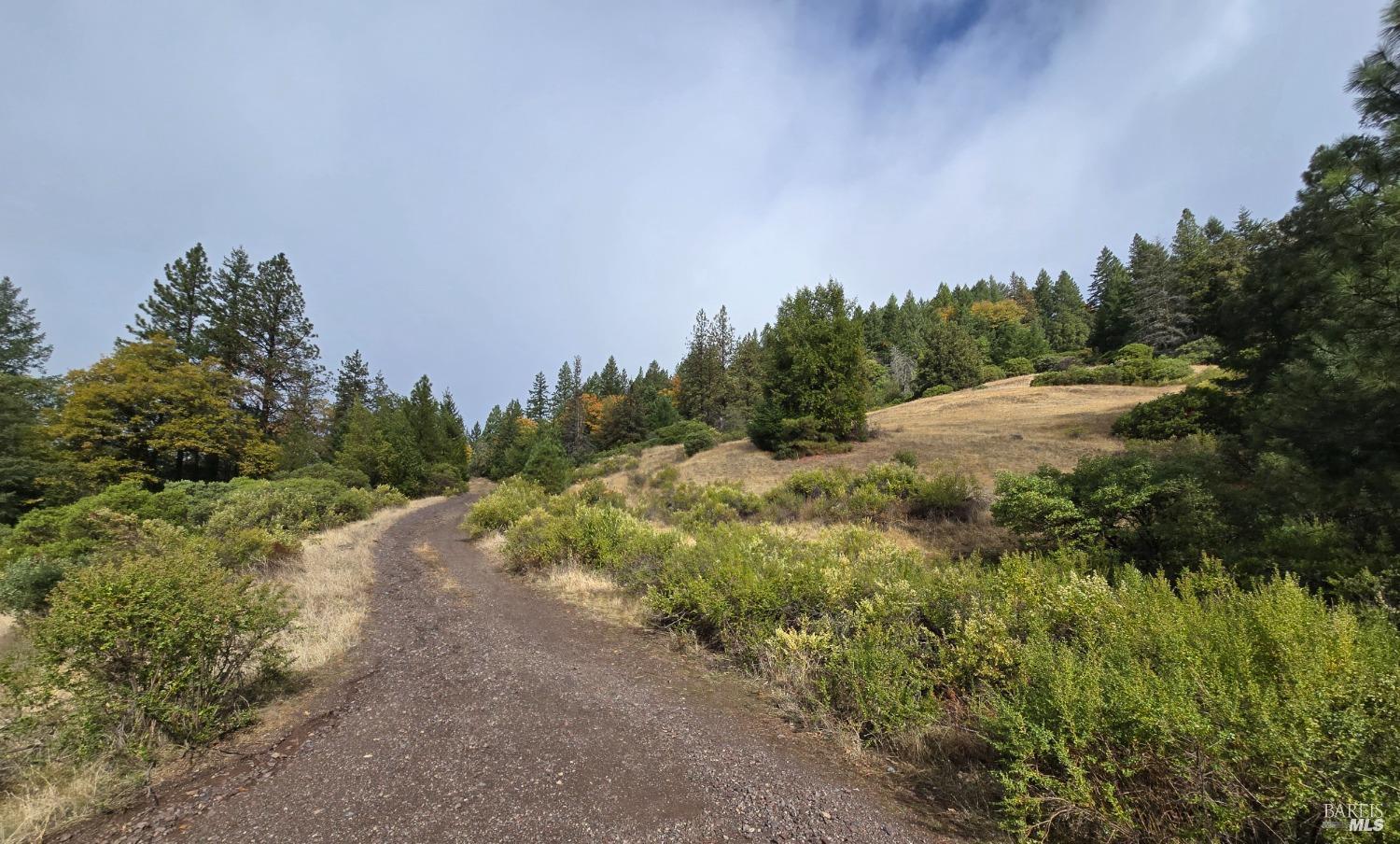 Detail Gallery Image 33 of 34 For 32120 Shimmins Ridge Rd, Willits,  CA 95490 - – Beds | – Baths