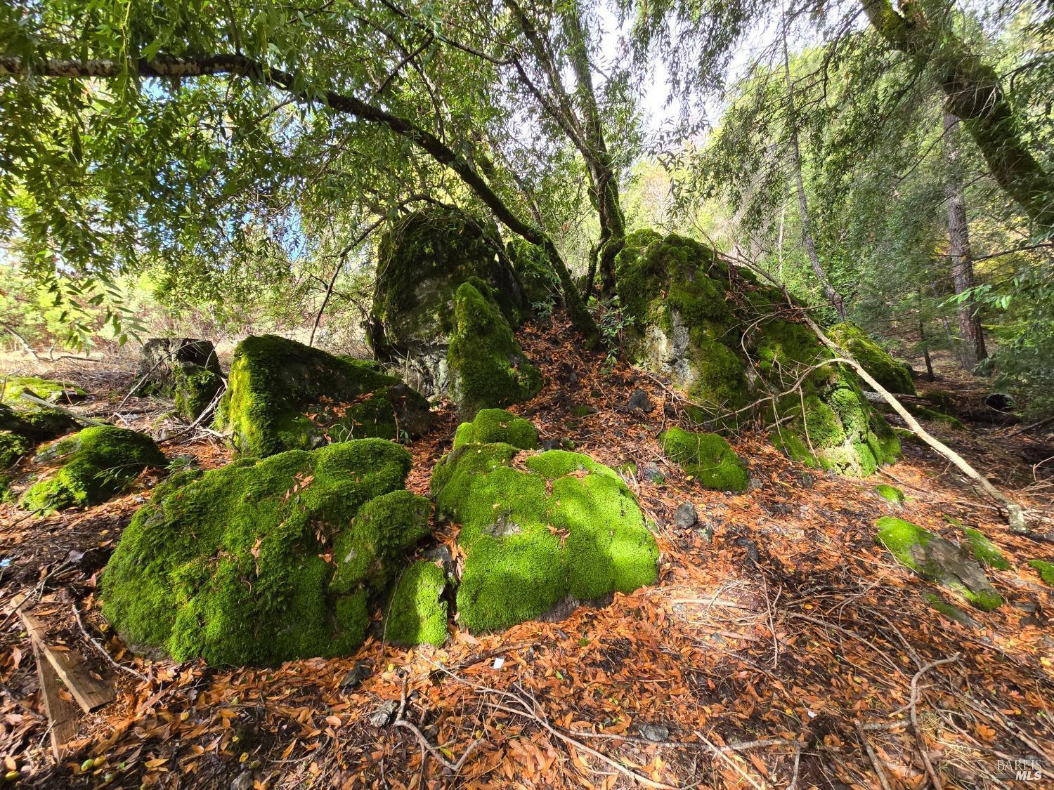 Detail Gallery Image 23 of 34 For 32120 Shimmins Ridge Rd, Willits,  CA 95490 - – Beds | – Baths