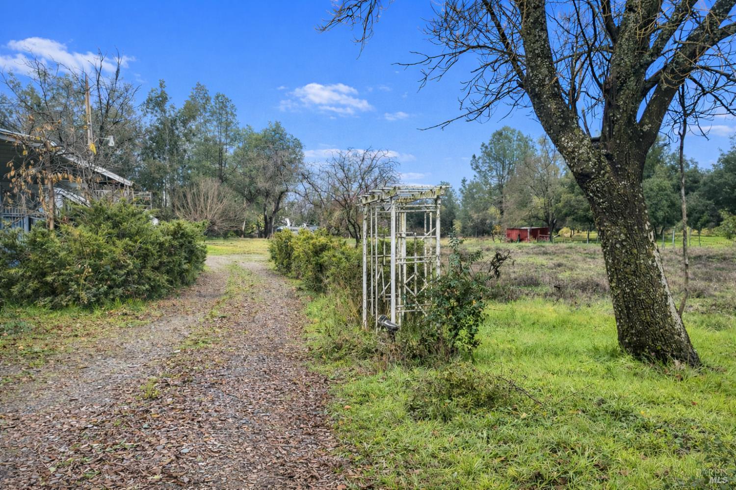 Detail Gallery Image 29 of 50 For 2865 Bell Hill Rd, Kelseyville,  CA 95451 - 2 Beds | 2 Baths