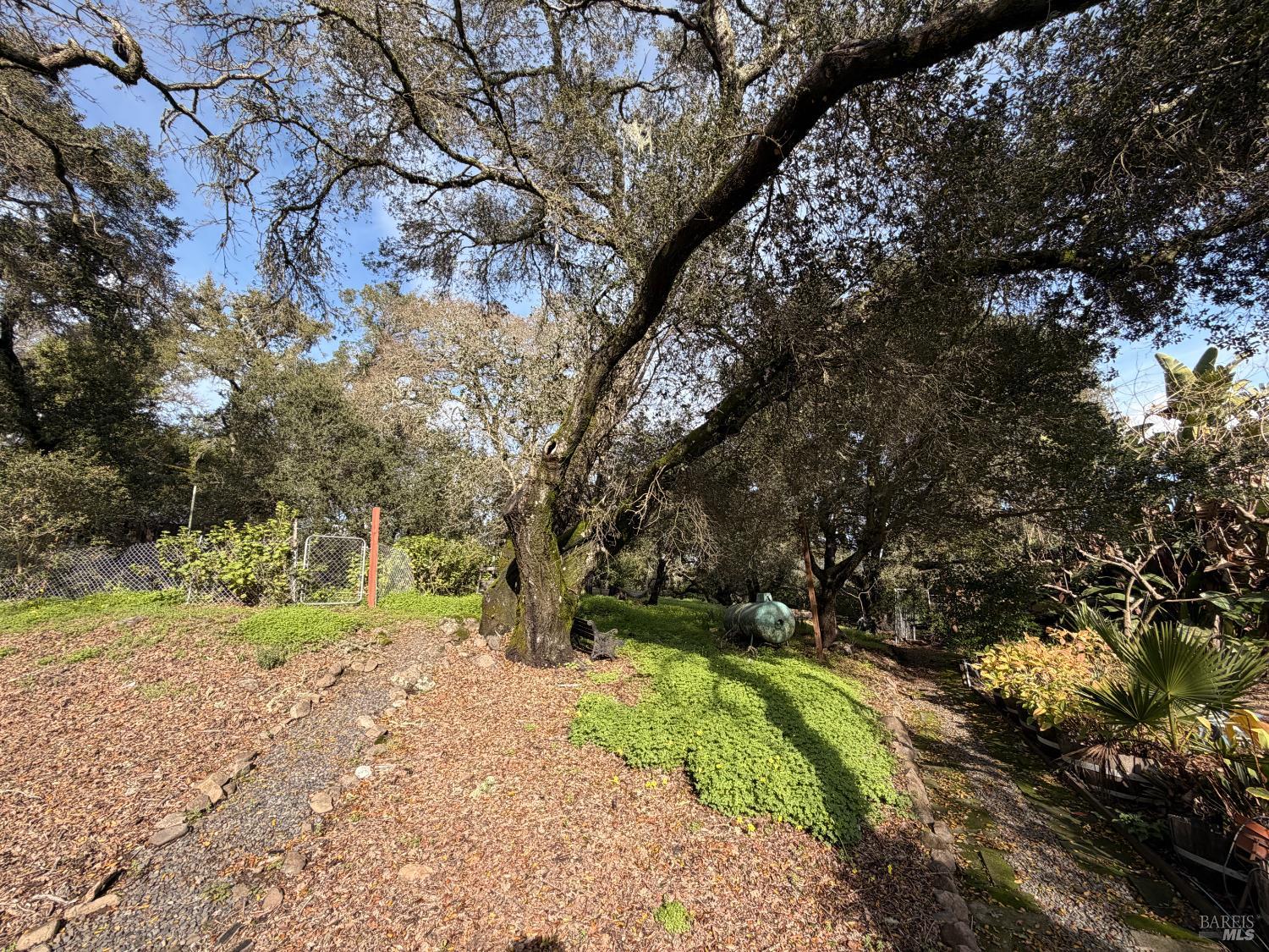 Detail Gallery Image 41 of 52 For 6825 Enterprise Rd, Glen Ellen,  CA 95442 - 2 Beds | 1 Baths