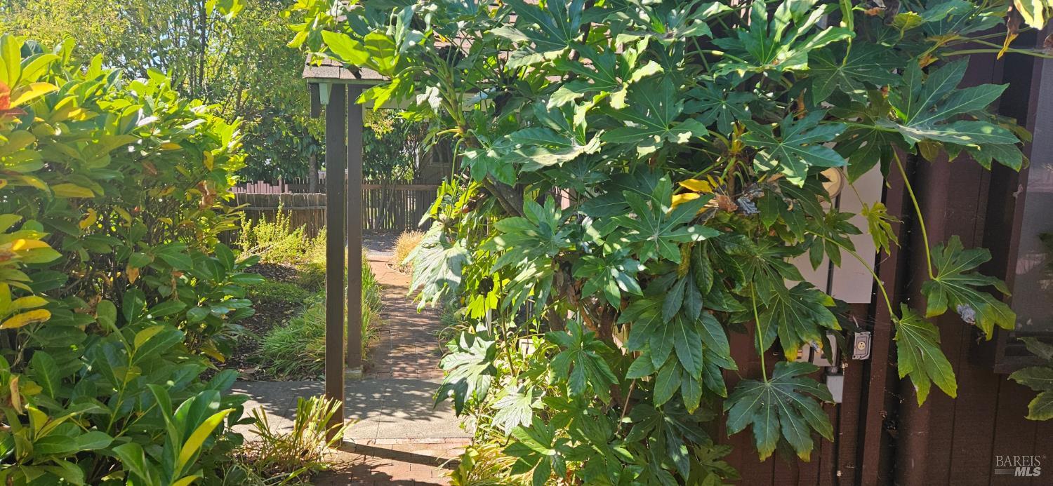 Detail Gallery Image 31 of 41 For 523 Center St, Healdsburg,  CA 95448 - 3 Beds | 2 Baths