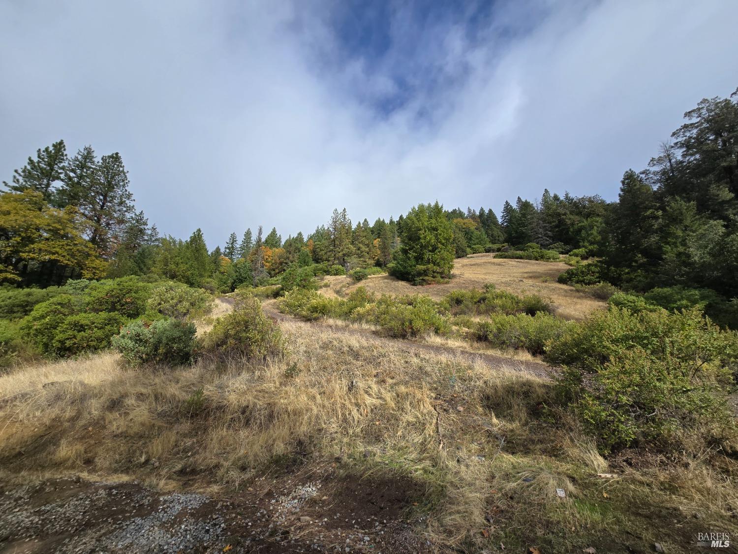 Detail Gallery Image 27 of 34 For 32120 Shimmins Ridge Rd, Willits,  CA 95490 - – Beds | – Baths