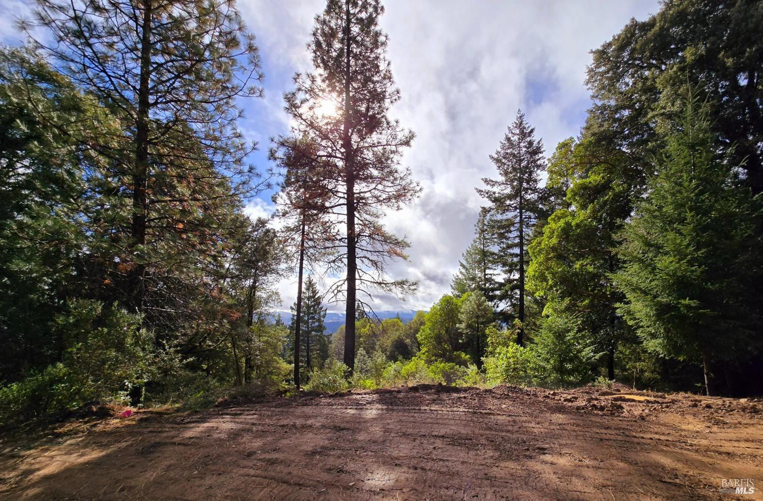 Detail Gallery Image 28 of 34 For 32120 Shimmins Ridge Rd, Willits,  CA 95490 - – Beds | – Baths