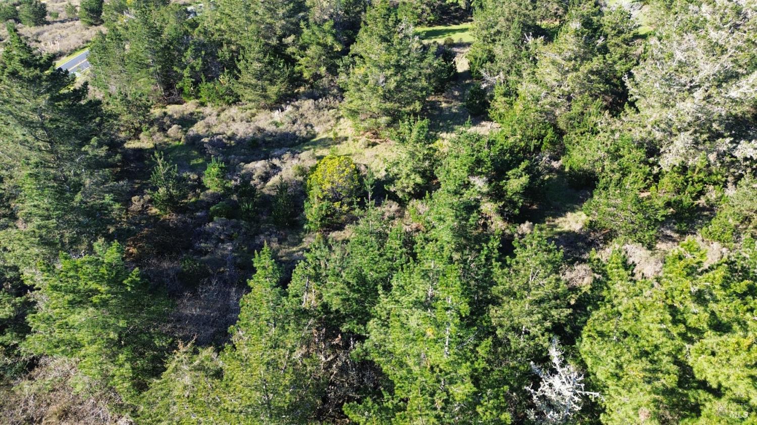 Detail Gallery Image 5 of 9 For 2100 Highway 1 Unkn, Bodega Bay,  CA 94923 - – Beds | – Baths