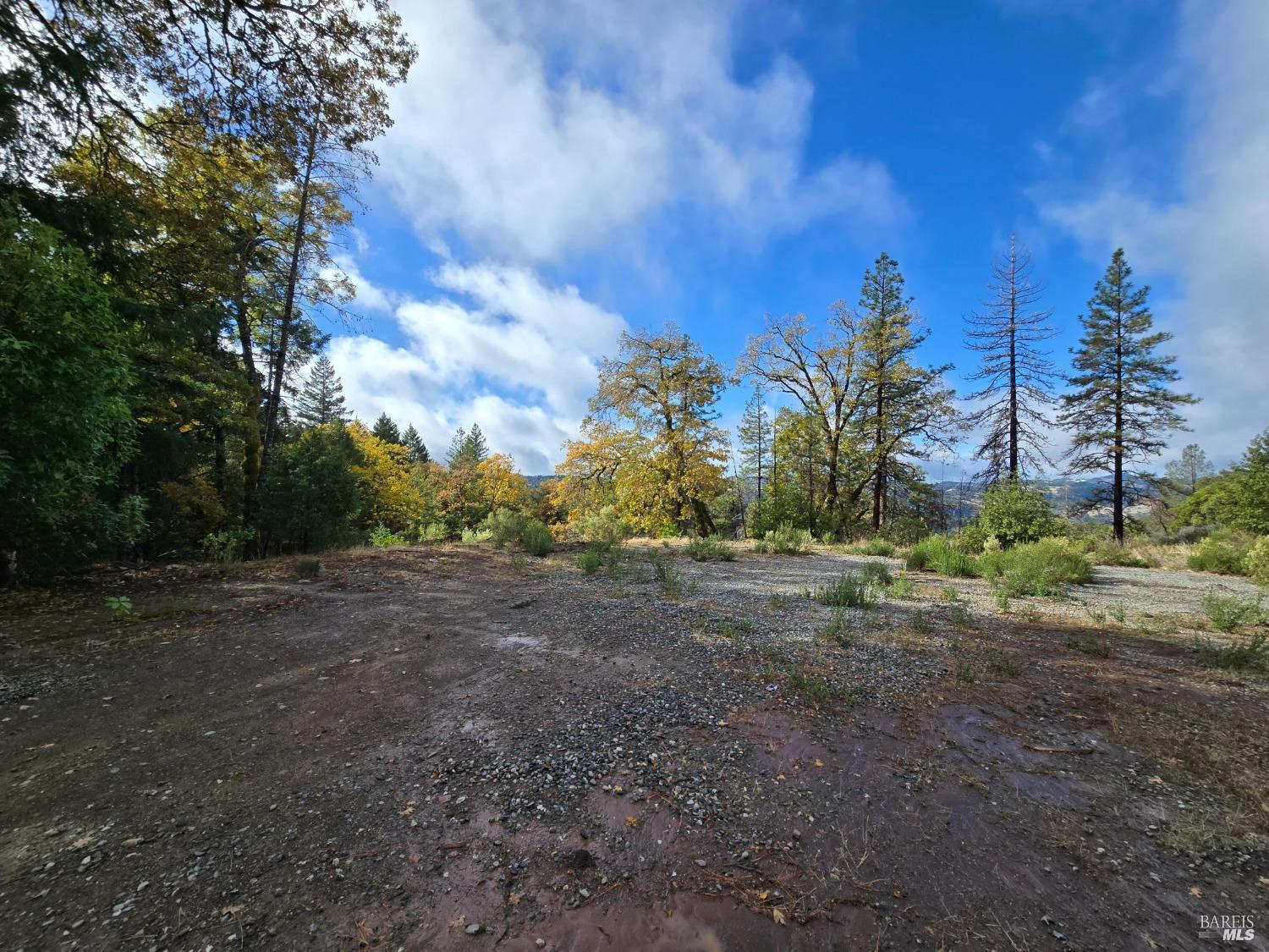 Detail Gallery Image 32 of 34 For 32120 Shimmins Ridge Rd, Willits,  CA 95490 - – Beds | – Baths