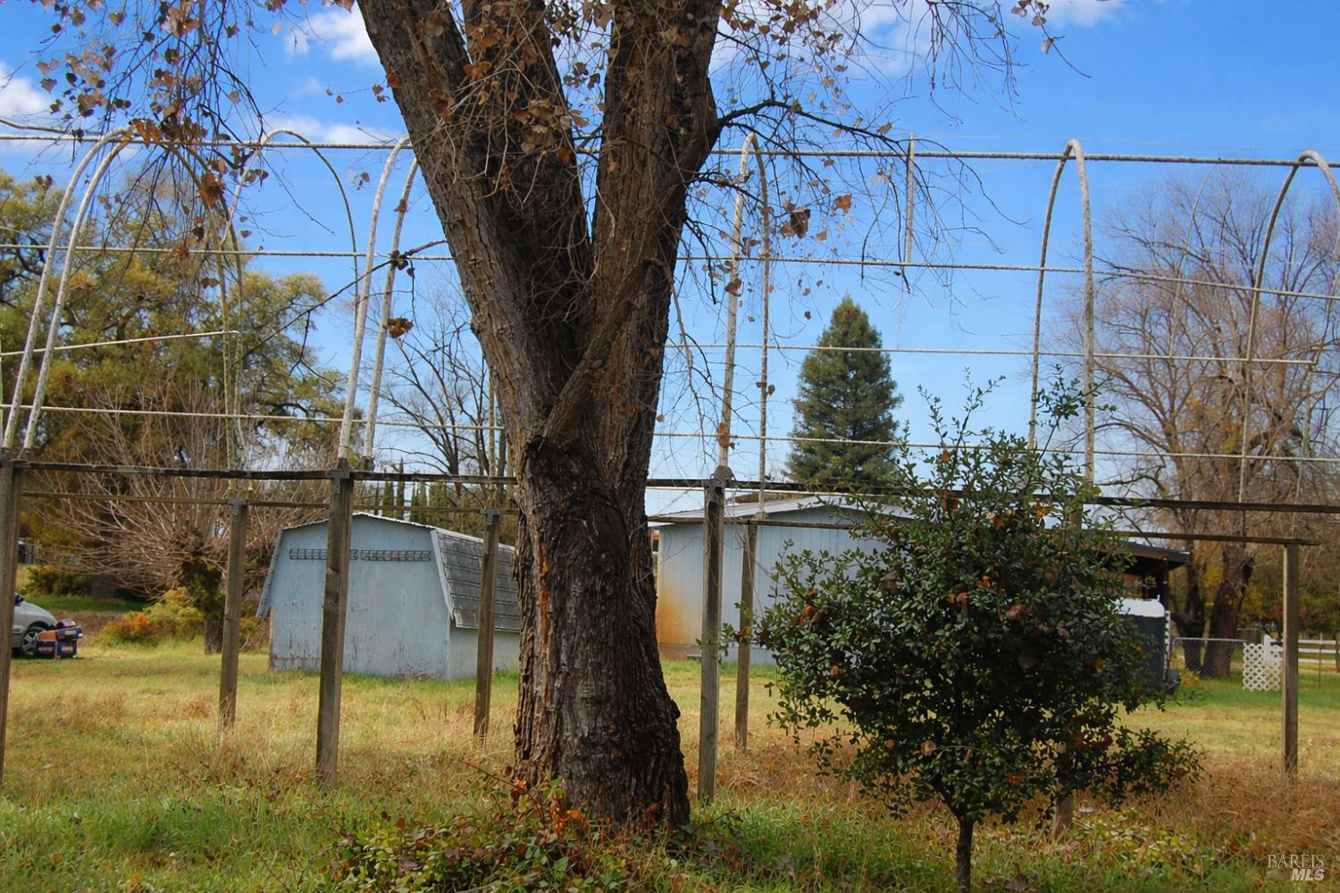 Detail Gallery Image 38 of 50 For 2865 Bell Hill Rd, Kelseyville,  CA 95451 - 2 Beds | 2 Baths