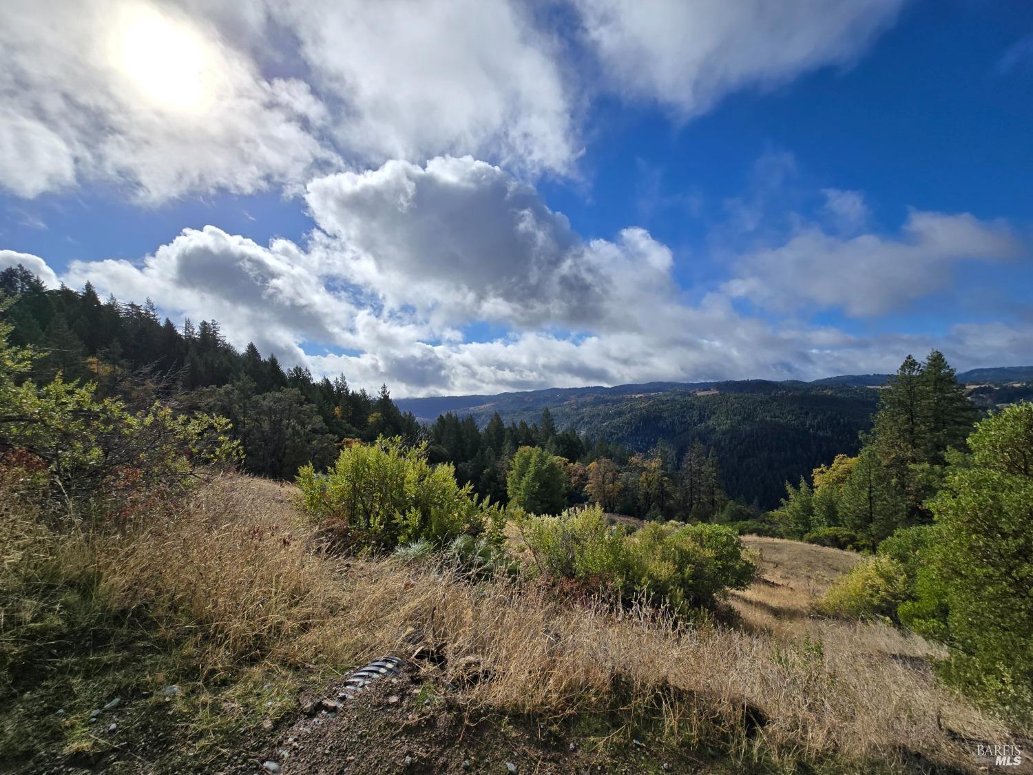 Detail Gallery Image 30 of 34 For 32120 Shimmins Ridge Rd, Willits,  CA 95490 - – Beds | – Baths