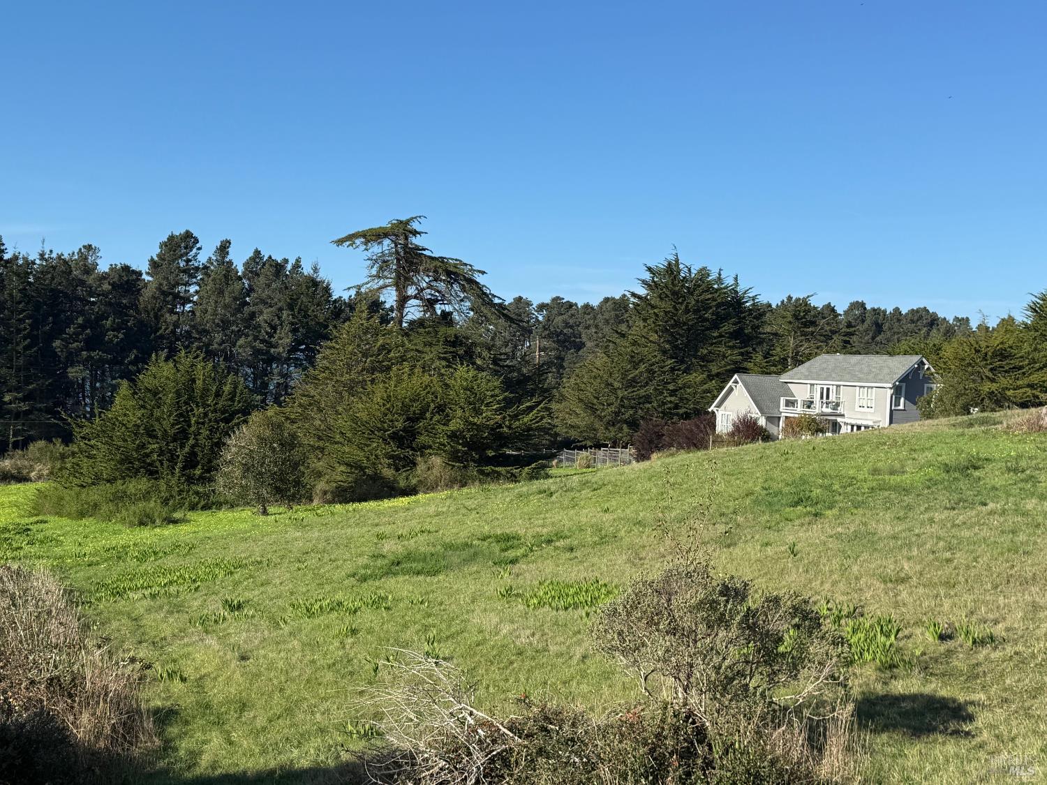 Detail Gallery Image 12 of 14 For 44831 Baywood Dr, Mendocino,  CA 95460 - – Beds | – Baths