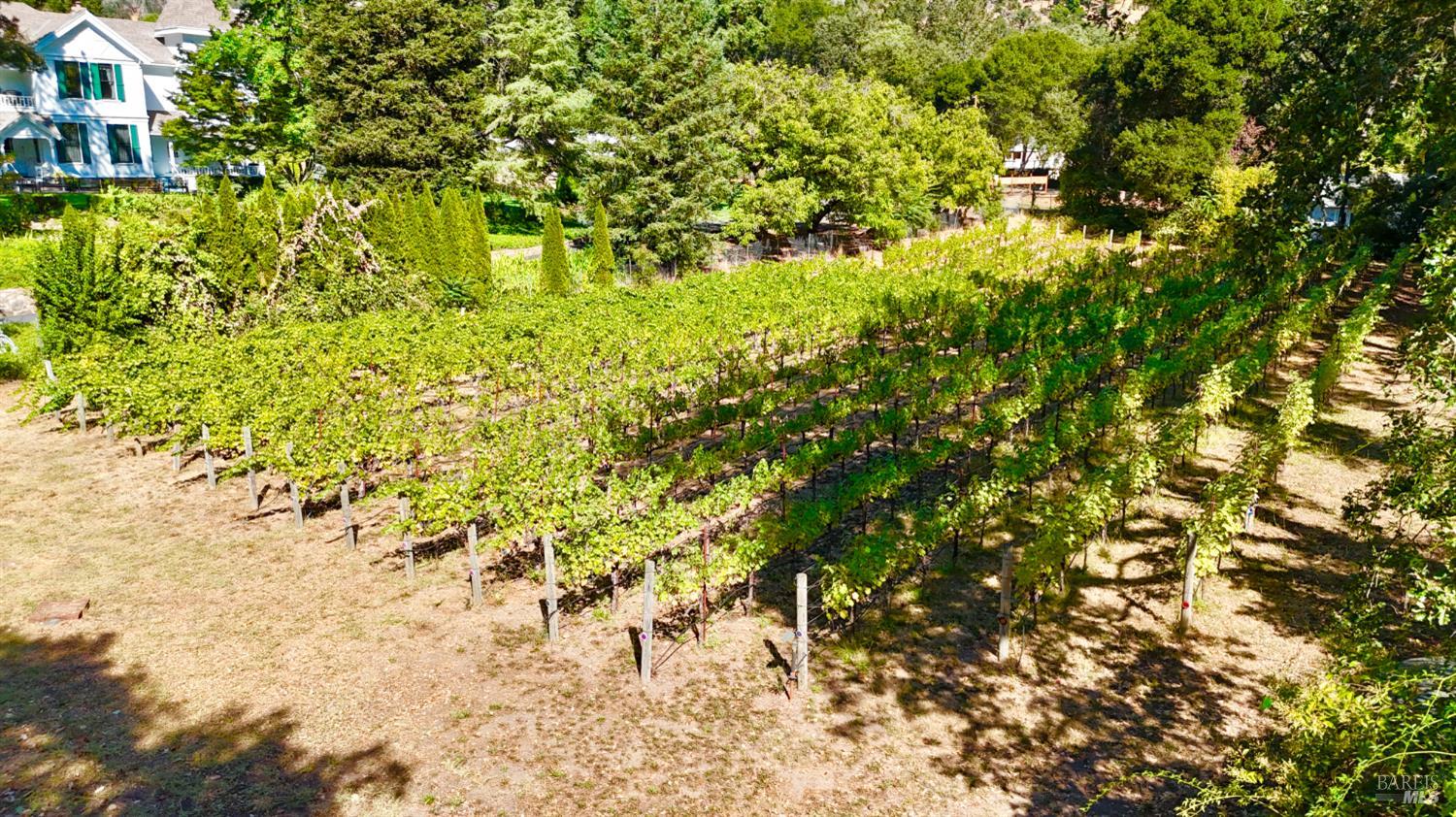 Detail Gallery Image 64 of 72 For 109 Glass Mountain Ln, Saint Helena,  CA 94574 - 3 Beds | 2/1 Baths