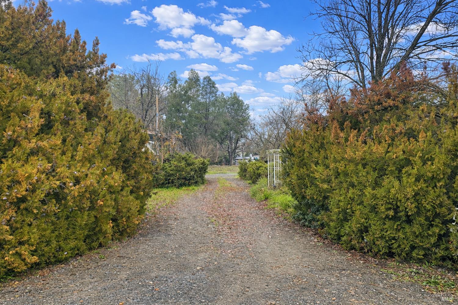 Detail Gallery Image 27 of 50 For 2865 Bell Hill Rd, Kelseyville,  CA 95451 - 2 Beds | 2 Baths