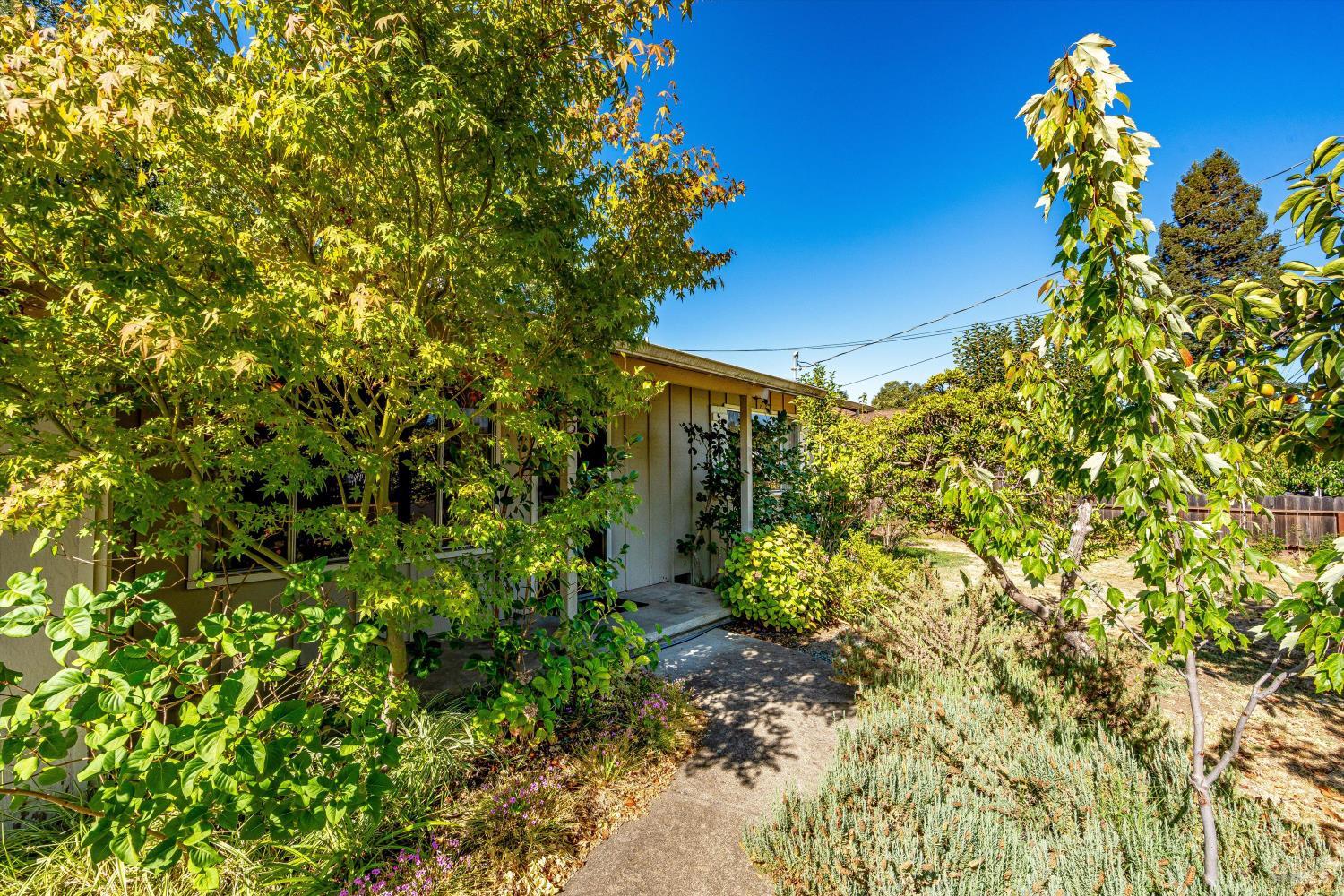 Detail Gallery Image 6 of 81 For 1251 Garden Ave, Saint Helena,  CA 94574 - 3 Beds | 2 Baths