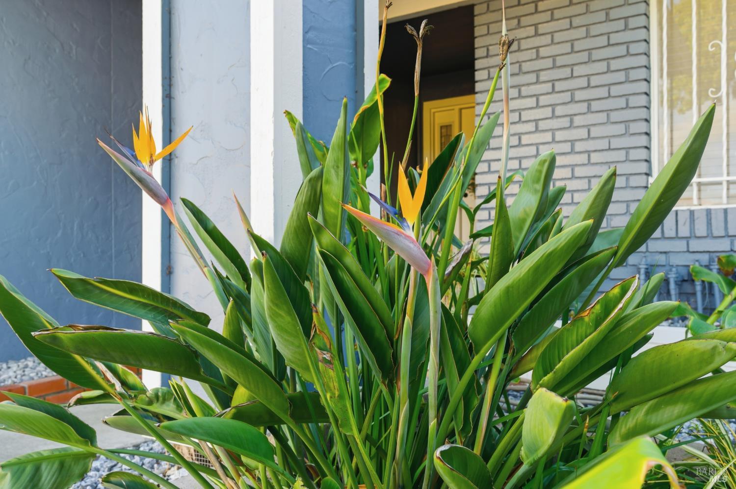 Detail Gallery Image 3 of 38 For 200 Evelyn Cir, Vallejo,  CA 94589 - 3 Beds | 2 Baths