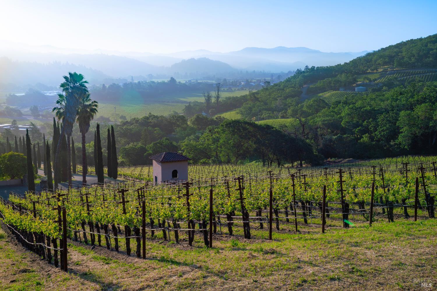 Detail Gallery Image 3 of 17 For 2893 Saint Helena Hwy, Saint Helena,  CA 94574 - 3 Beds | 2/1 Baths