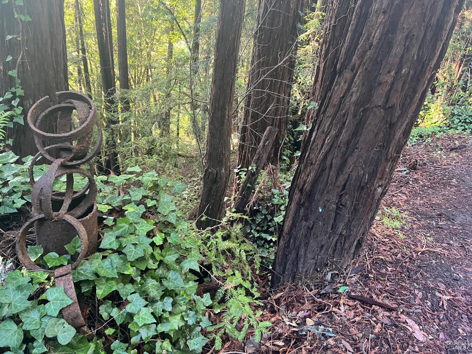 Detail Gallery Image 2 of 12 For 21866 Monte Vista Ter, Monte Rio,  CA 95462 - – Beds | – Baths