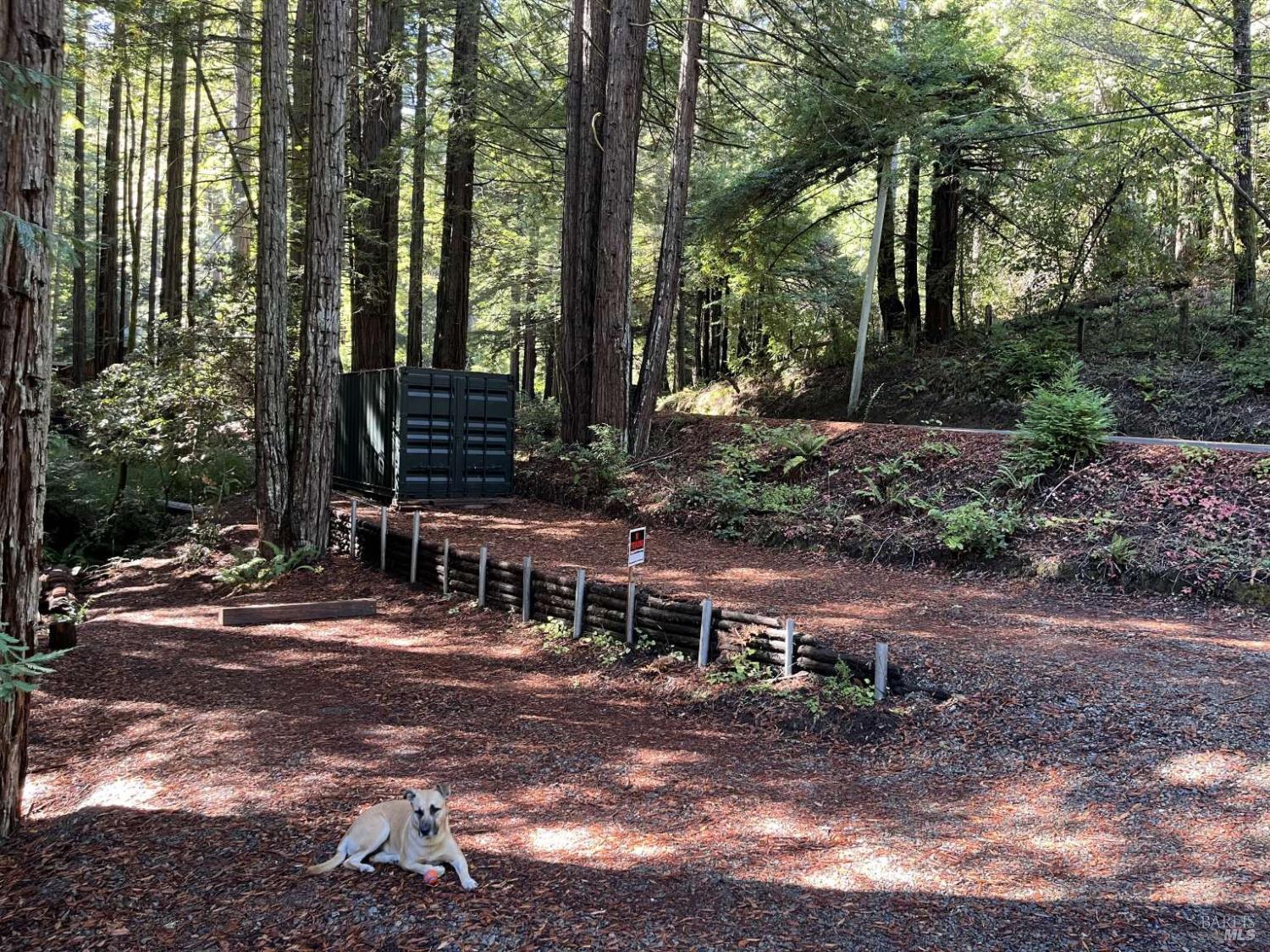 Detail Gallery Image 4 of 36 For 16125 Bittner Rd, Occidental,  CA 95465 - 4 Beds | 2 Baths