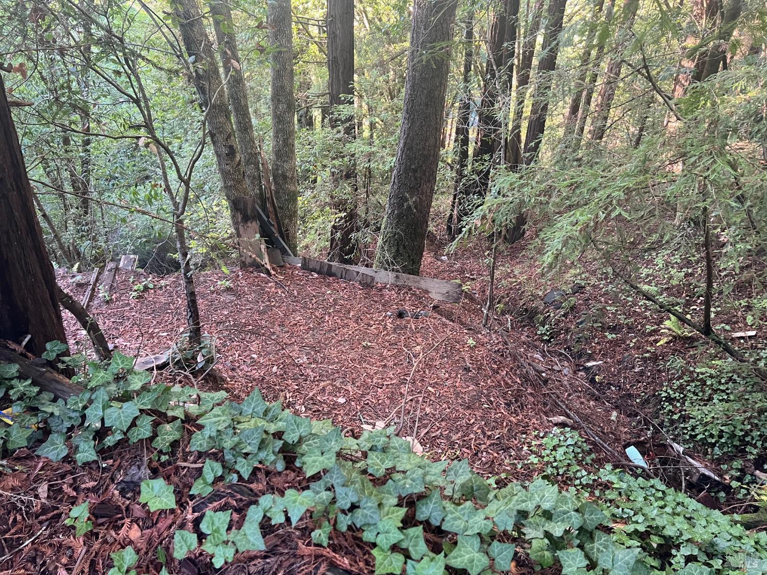 Detail Gallery Image 9 of 12 For 21866 Monte Vista Ter, Monte Rio,  CA 95462 - – Beds | – Baths