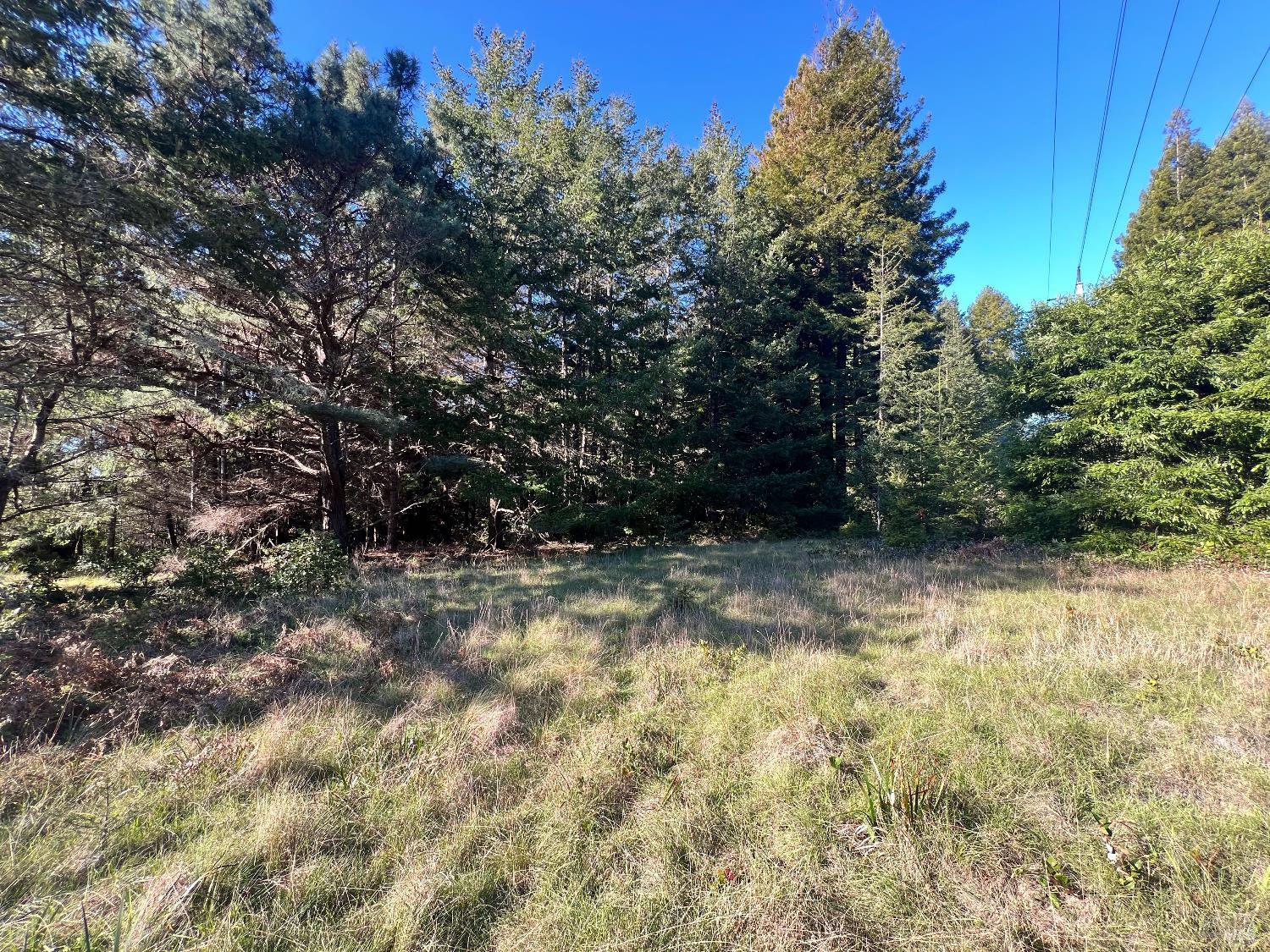 Detail Gallery Image 6 of 18 For 237 Badger Unkn, The Sea Ranch,  CA 95497 - – Beds | – Baths