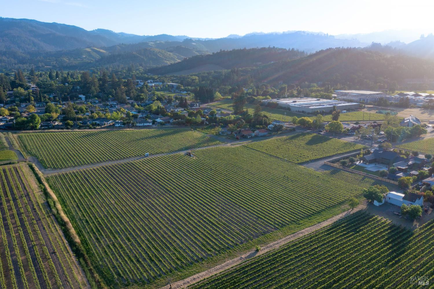 Detail Gallery Image 6 of 12 For 0 Pratt Ave, Saint Helena,  CA 94574 - – Beds | – Baths