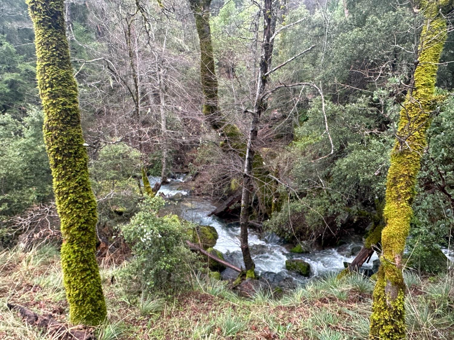 Detail Gallery Image 24 of 52 For Address Is Not Disclosed, Laytonville,  CA 95454 - 1 Beds | 1/1 Baths