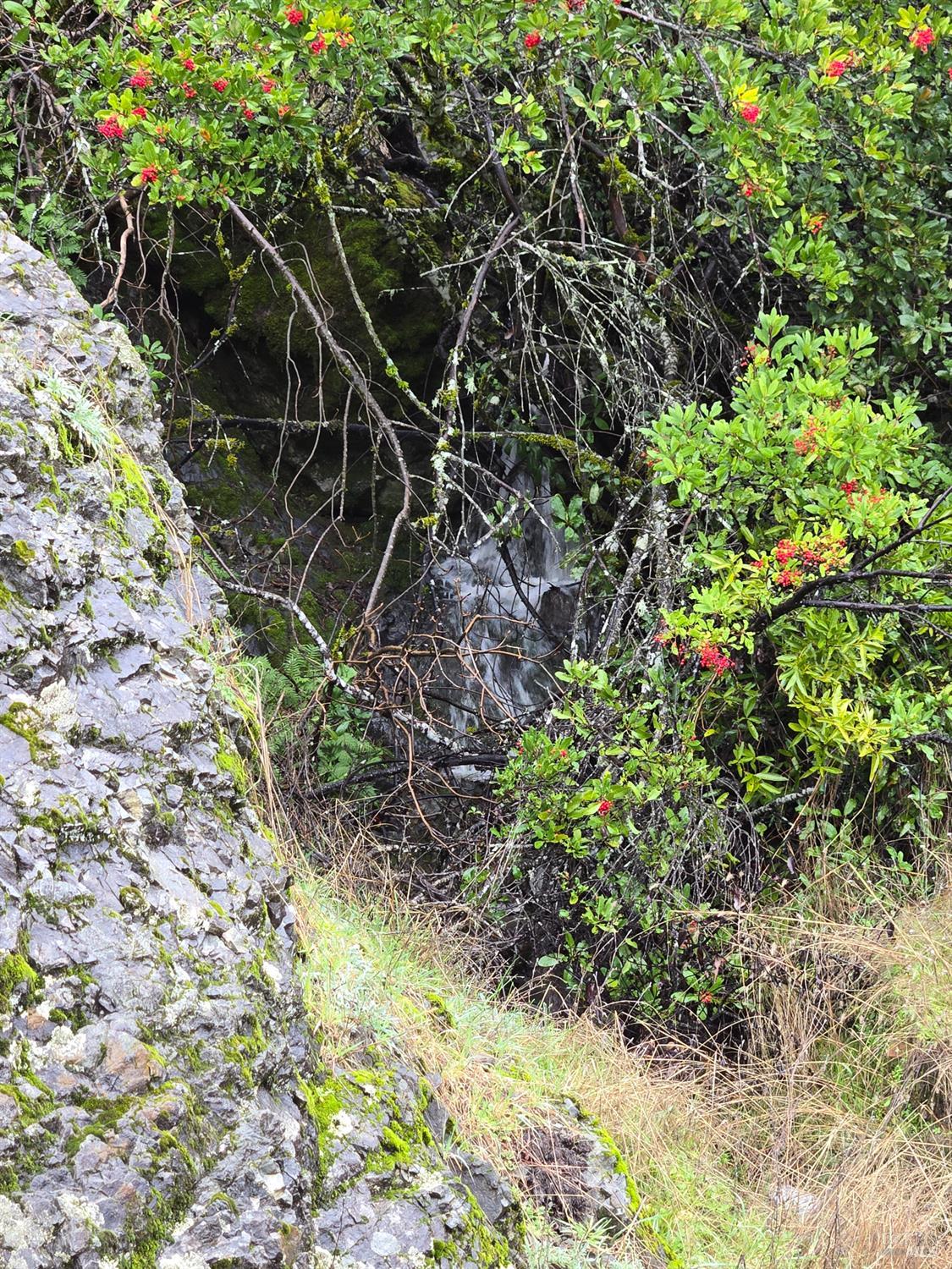 Detail Gallery Image 3 of 4 For 16191 Ridgeview Rd, Willits,  CA 95490 - – Beds | – Baths