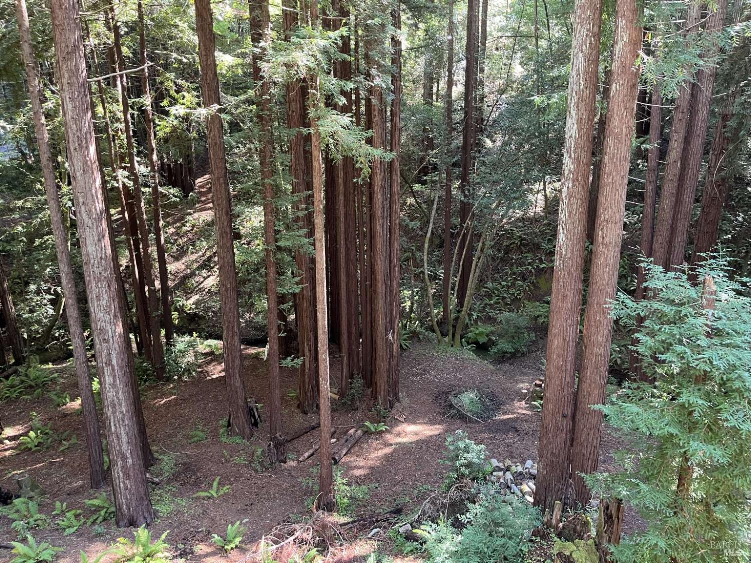 Detail Gallery Image 34 of 36 For 16125 Bittner Rd, Occidental,  CA 95465 - 4 Beds | 2 Baths