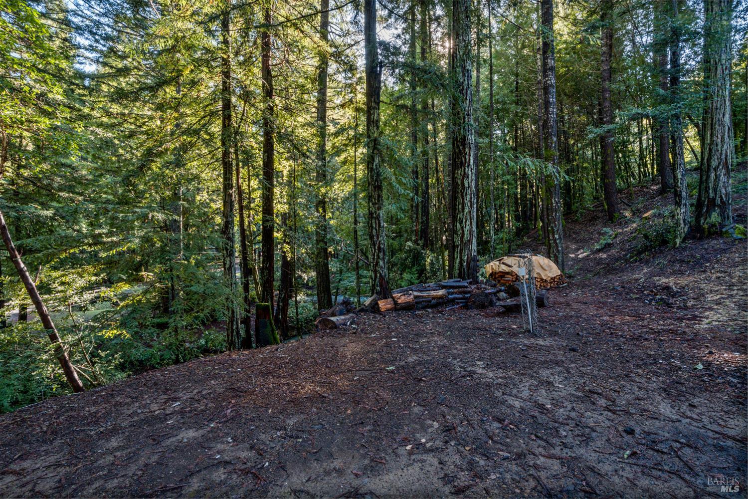 Detail Gallery Image 12 of 12 For 25237 Bluejay Ln, Willits,  CA 95490 - 3 Beds | 2/1 Baths