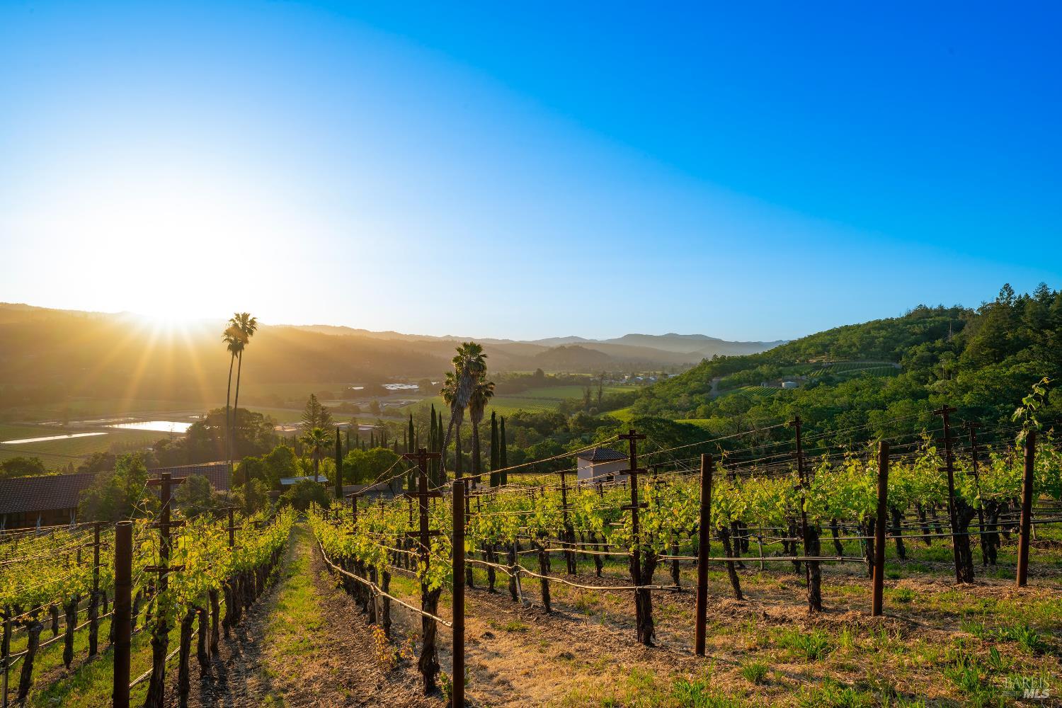 Detail Gallery Image 17 of 17 For 2893 Saint Helena Hwy, Saint Helena,  CA 94574 - 3 Beds | 2/1 Baths