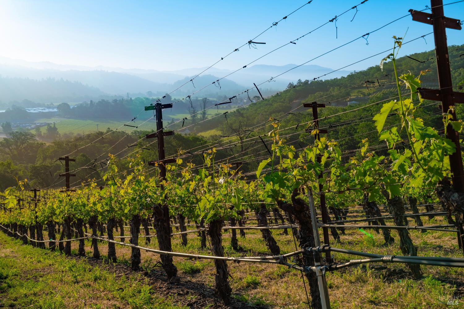 Detail Gallery Image 15 of 17 For 2893 Saint Helena Hwy, Saint Helena,  CA 94574 - 3 Beds | 2/1 Baths