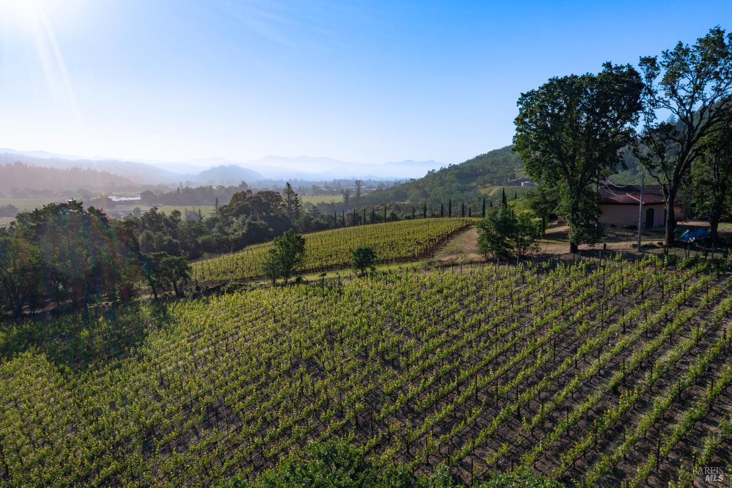 Detail Gallery Image 14 of 17 For 2893 Saint Helena Hwy, Saint Helena,  CA 94574 - 3 Beds | 2/1 Baths