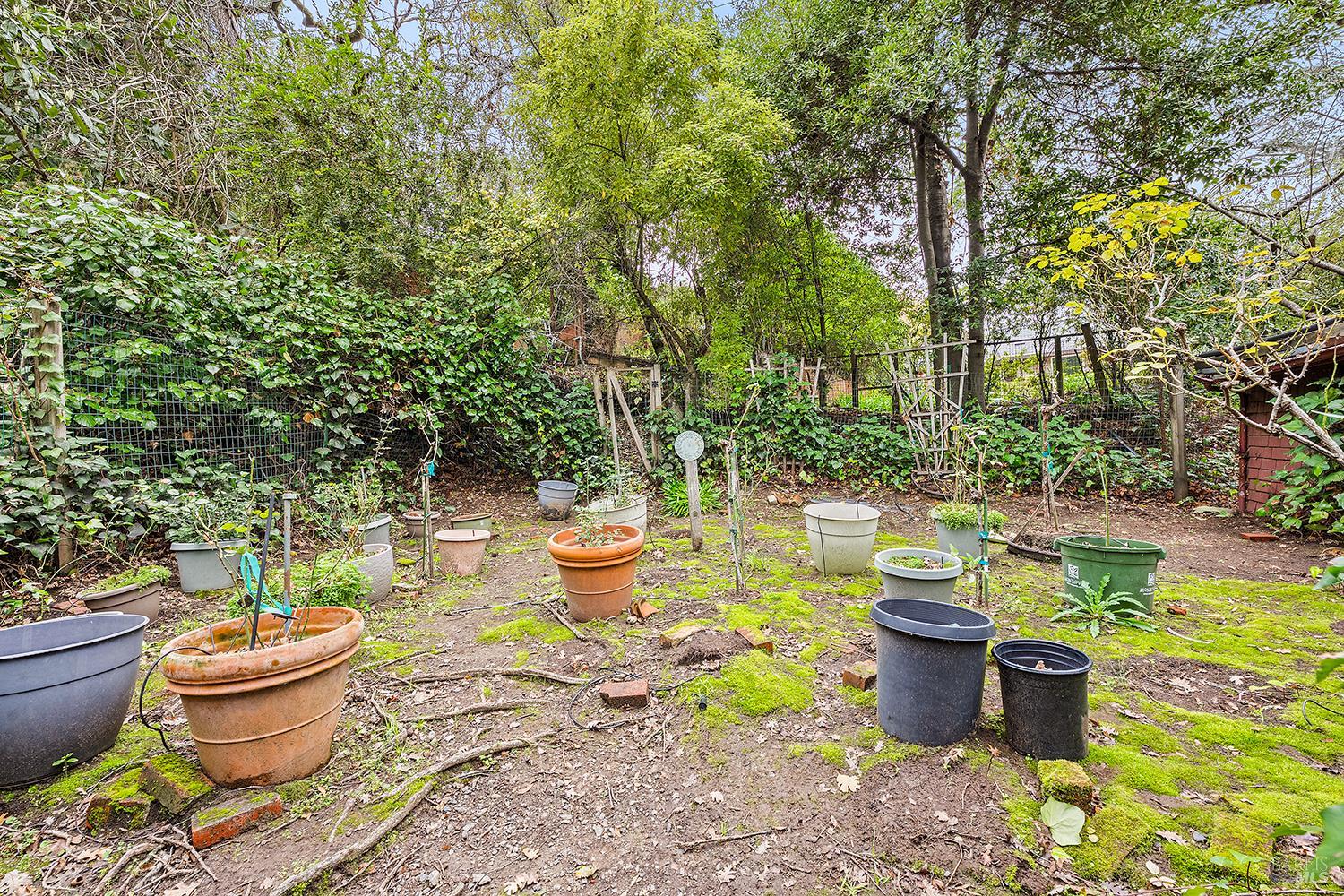 Detail Gallery Image 11 of 55 For 101 Laurel Grove Ave, Kentfield,  CA 94904 - 3 Beds | 2/1 Baths
