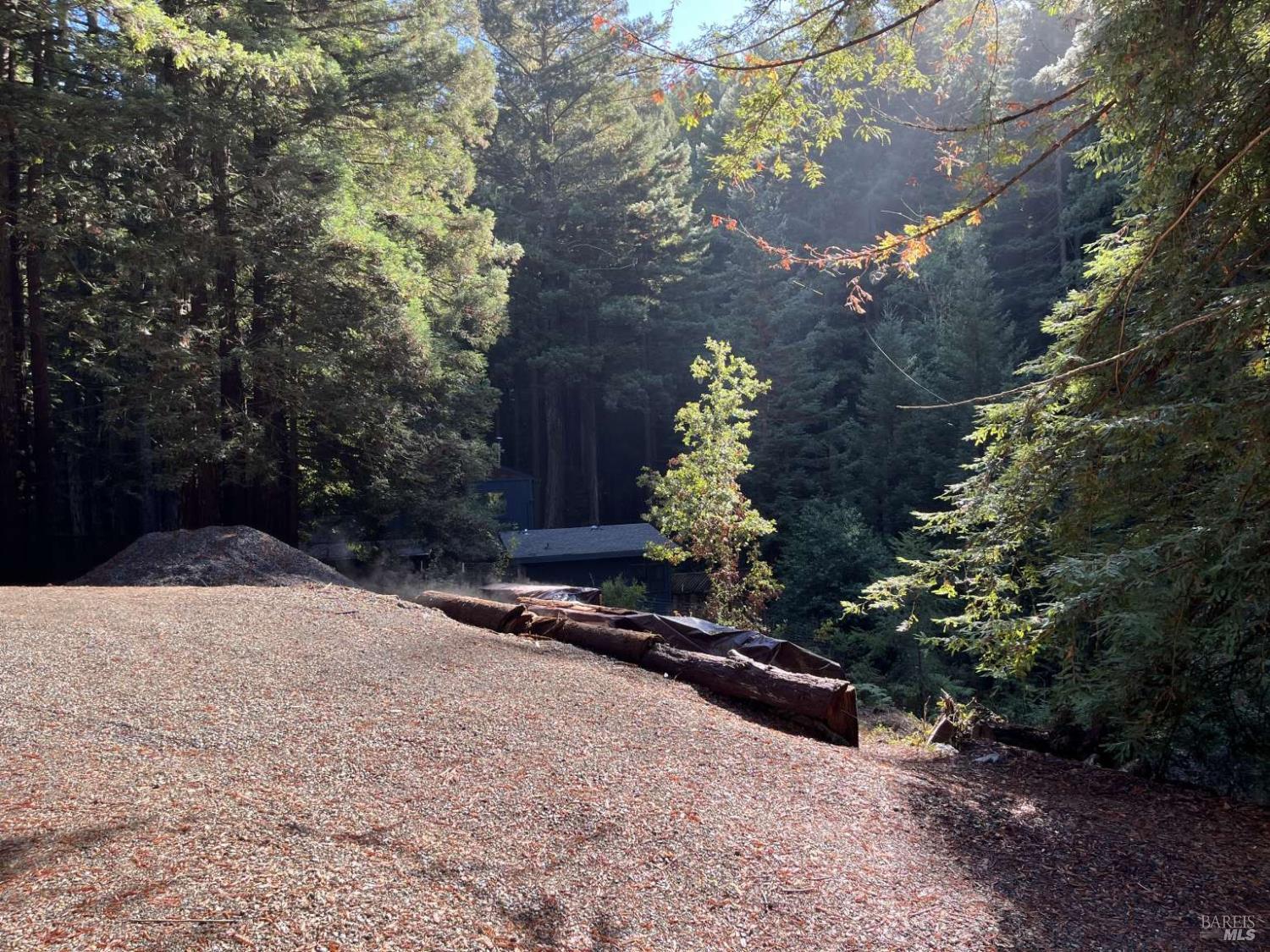 Detail Gallery Image 2 of 36 For 16125 Bittner Rd, Occidental,  CA 95465 - 4 Beds | 2 Baths