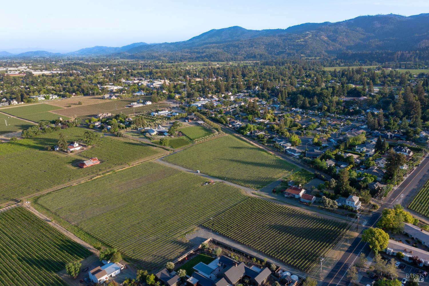 Detail Gallery Image 9 of 12 For 0 Pratt Ave, Saint Helena,  CA 94574 - – Beds | – Baths