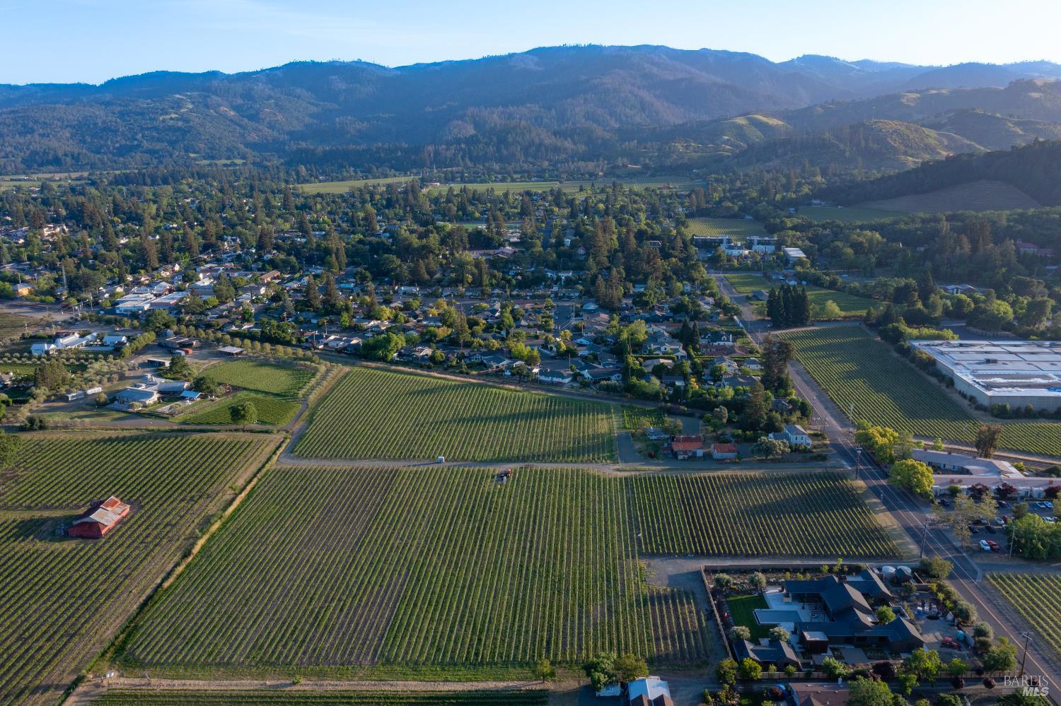 Detail Gallery Image 4 of 12 For 0 Pratt Ave, Saint Helena,  CA 94574 - – Beds | – Baths