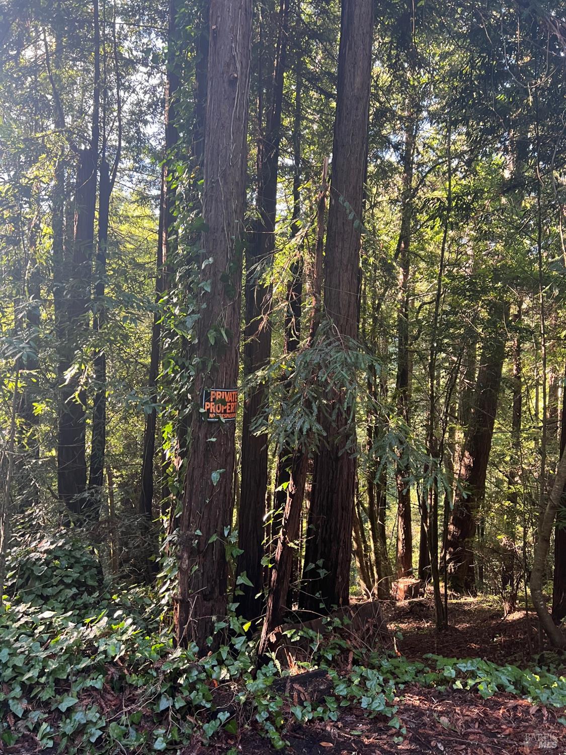 Detail Gallery Image 3 of 12 For 21866 Monte Vista Ter, Monte Rio,  CA 95462 - – Beds | – Baths