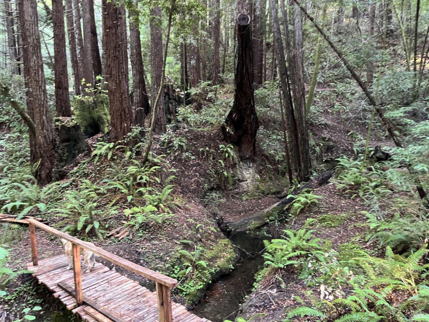 Detail Gallery Image 33 of 36 For 16125 Bittner Rd, Occidental,  CA 95465 - 4 Beds | 2 Baths