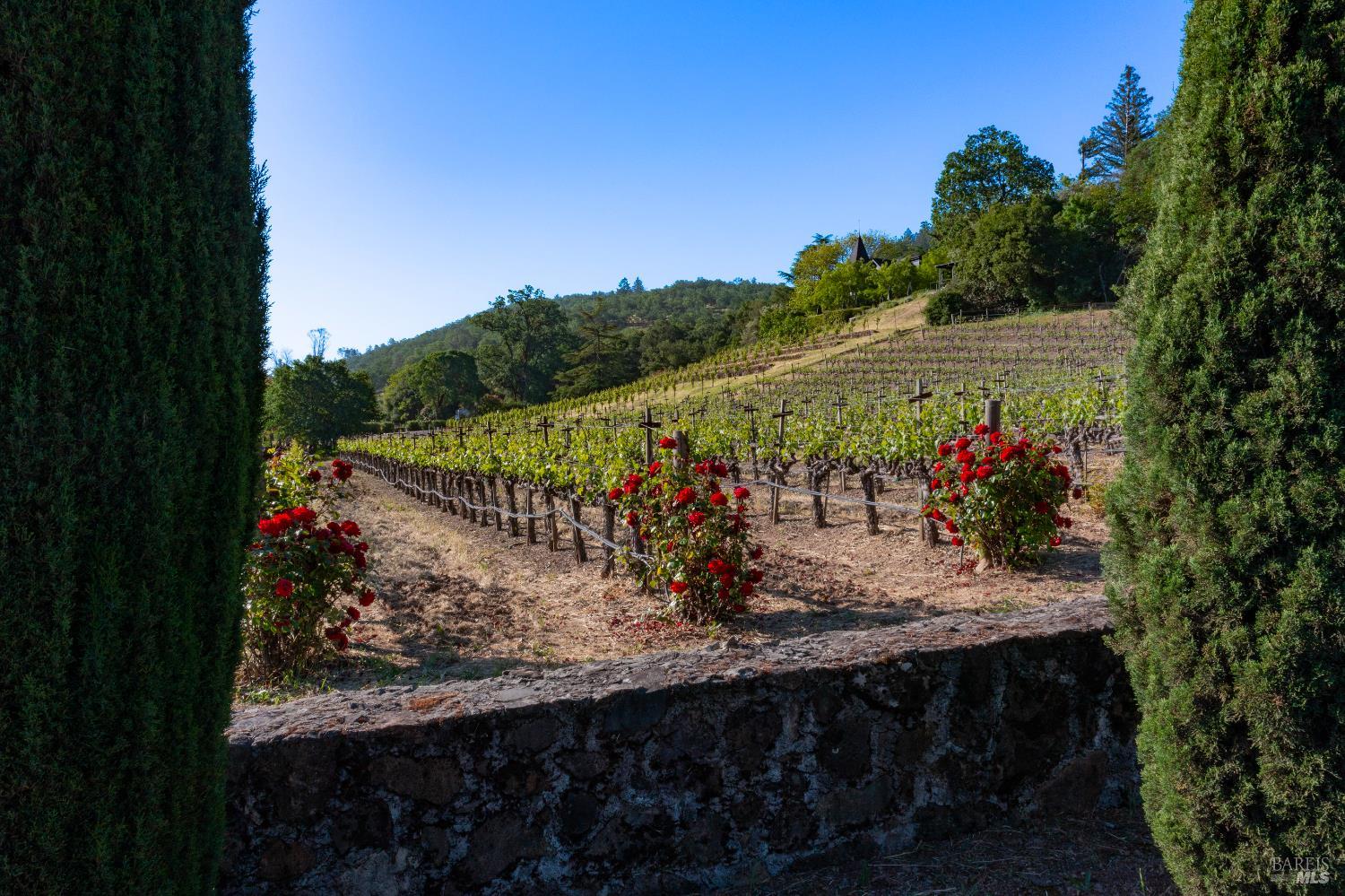 Detail Gallery Image 7 of 17 For 2893 Saint Helena Hwy, Saint Helena,  CA 94574 - 3 Beds | 2/1 Baths