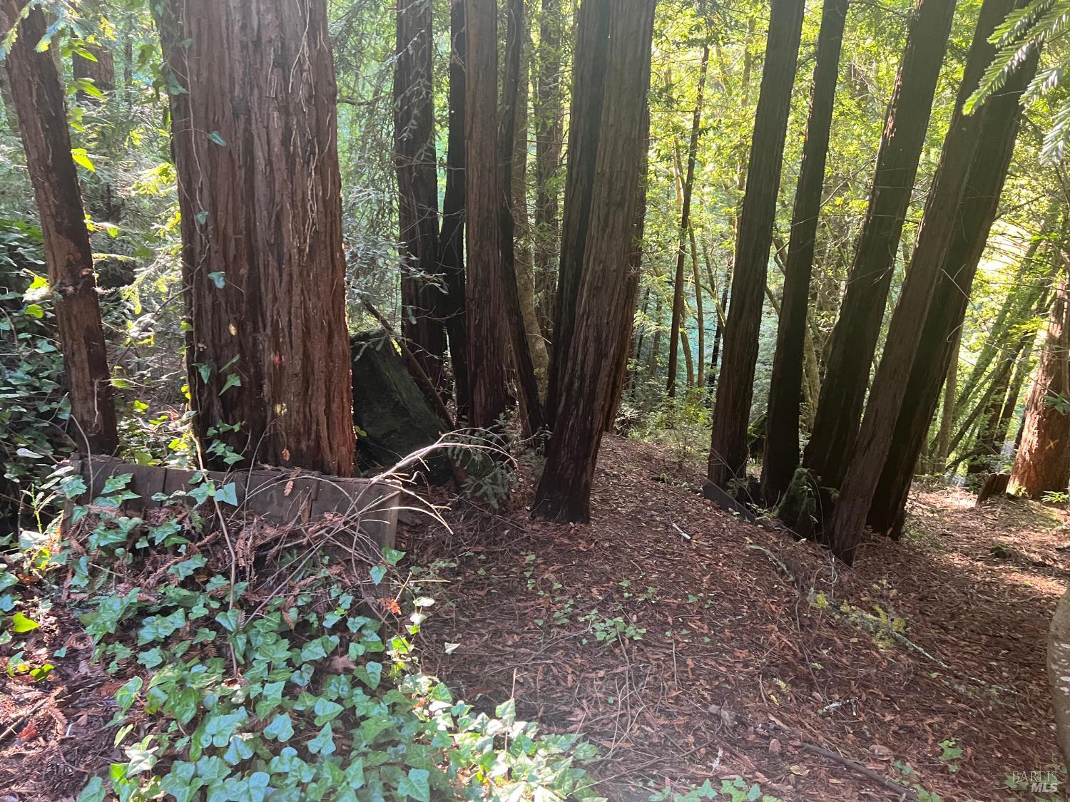 Front Image Thumbnail for BA326001634