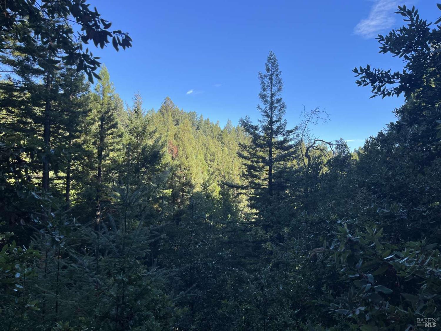 Detail Gallery Image 7 of 36 For 16125 Bittner Rd, Occidental,  CA 95465 - 4 Beds | 2 Baths