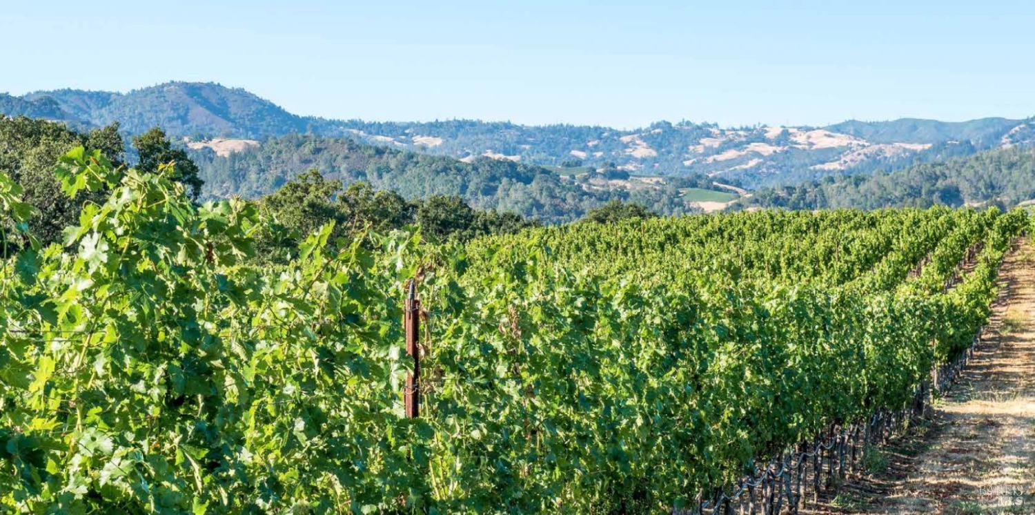 Detail Gallery Image 16 of 39 For 5566 Highway 128, Geyserville,  CA 95441 - – Beds | – Baths