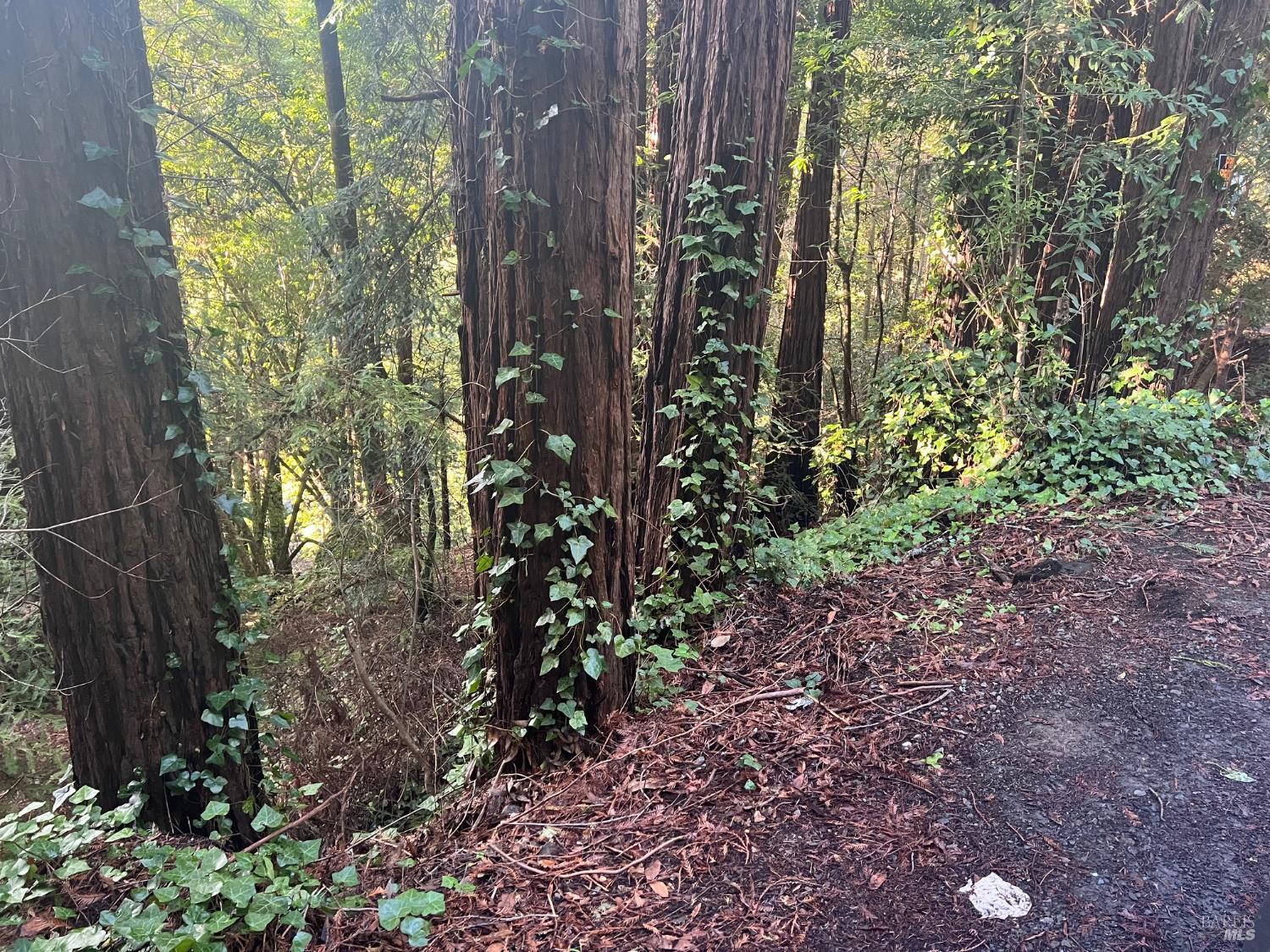 Detail Gallery Image 7 of 12 For 21866 Monte Vista Ter, Monte Rio,  CA 95462 - – Beds | – Baths